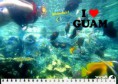/album/%e9%97%9c%e5%b3%b6%e4%ba%94%e6%97%a5%e9%81%8a/a00022215-jpg/